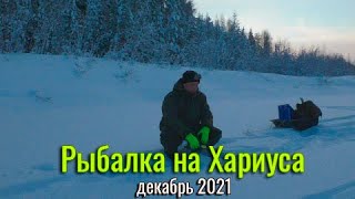 Рыбалка на хариуса. Зимняя рыбалка в декабре 2021. Республика коми.