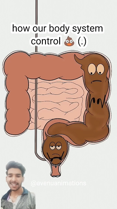 Try Not to Laugh Challenge - IMPOSSIBLE (You WILL Laugh!)Part-124#animation #cartoons #memes #comedy