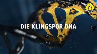 Produktbild von KLINGSPOR Schleifmop 13194 KMT 614 – Becherförmig, 60x40x6, Körnung 40, 10 Stück