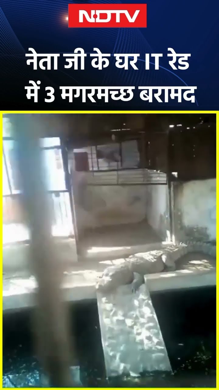 BJP के पूर्व विधायक Harvansh Singh Rathore के ठिकानों पर IT रेड, करोड़ों कैश और 3 Crocodile बरामद