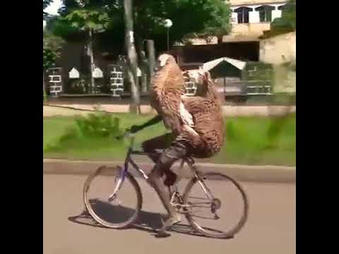 ramazan bayrami je zaman