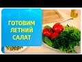 «Живые рецепты» – летний салат из спирулины