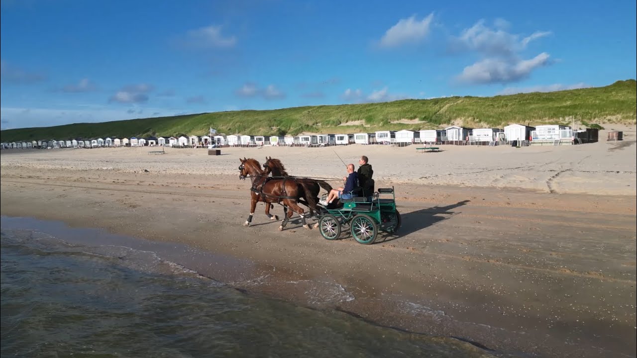 Paardenkracht op het strand: oefenrit Egmond levert unieke beelden op