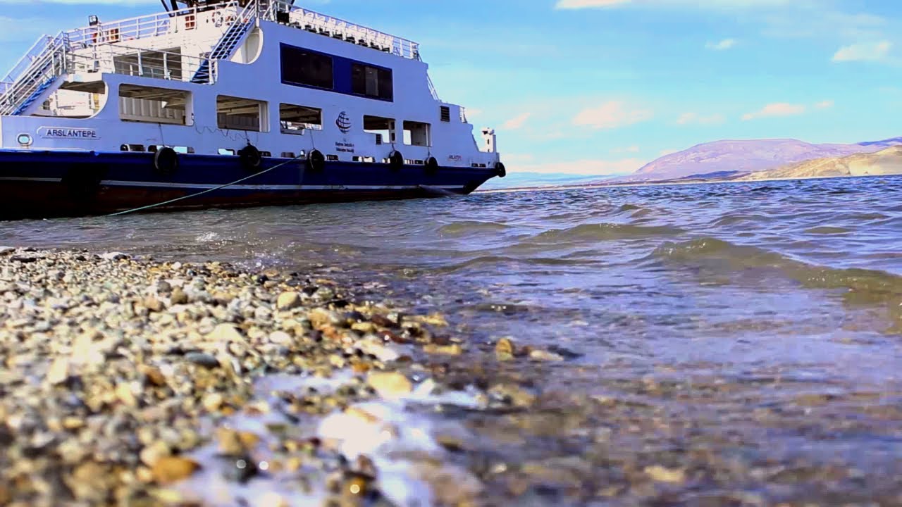 Balık çıkmaz denilen yerde bir sürü balık yakaladık | Carp fishing | trouth fishing