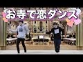 【逃げ恥】お寺で恋ダンス踊ってみた&ヲタ芸してみた【北の打ち師達】