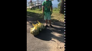 One Mans Effort to Clean The Clarence - Harwood Island