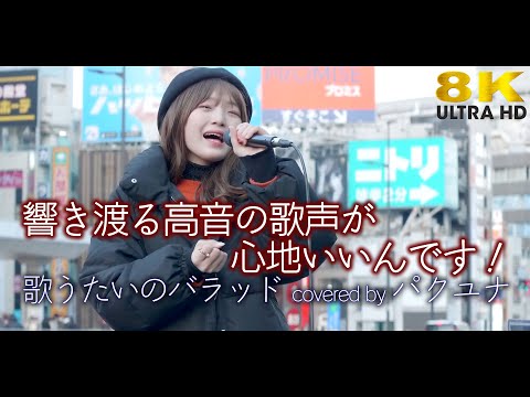 【8K】響き渡る高音の歌声が心地いいんです！　歌うたいのバラッド / 斉藤和義（cover） " パクユナ "  新宿路上ライブ 8K映像