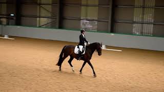 Lorena Klingler Dressage Elementary 57 with Foxtrot Charlie 65.00% - 4th Place @ SNEC 06/08/2022