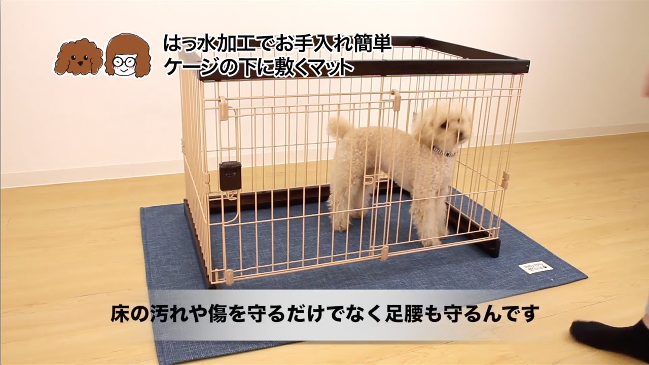パリーパリーペット 床の汚れや傷を守る ケージの下に敷くマット Youtube