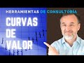 Curvas de Valor - Herramientas de Consultoría