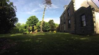 Copper beech removal time lapse in Guernsey