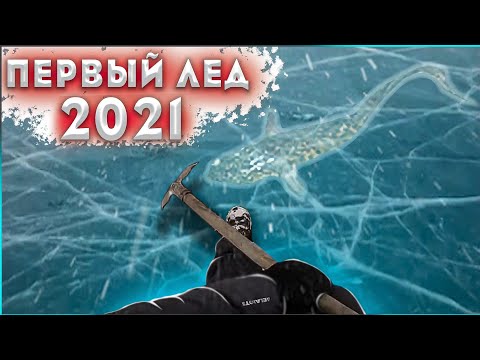 Сибирский Регион Рыбалка Видео Новое 2022 Год