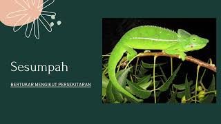 PERLINDUNGAN HAIWAN DARIPADA MUSUH DAN BAHAYA - SAINS PPKI F2