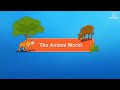 The animal world  educationals for kids  periwinkle