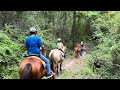 Trail Ride with Kids and young horses!! What could go wrong ?