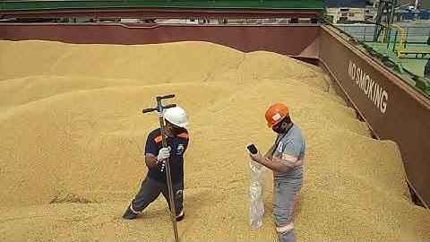 Loading Soybeans | Sample extraction | Paranagua, Brazil | John Deanon