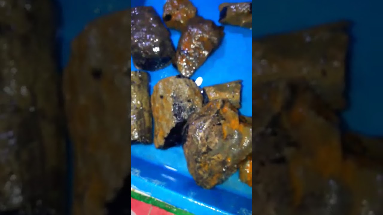 Sempur banten 5kg harga 200 bae gas (30) Wa 085779408746