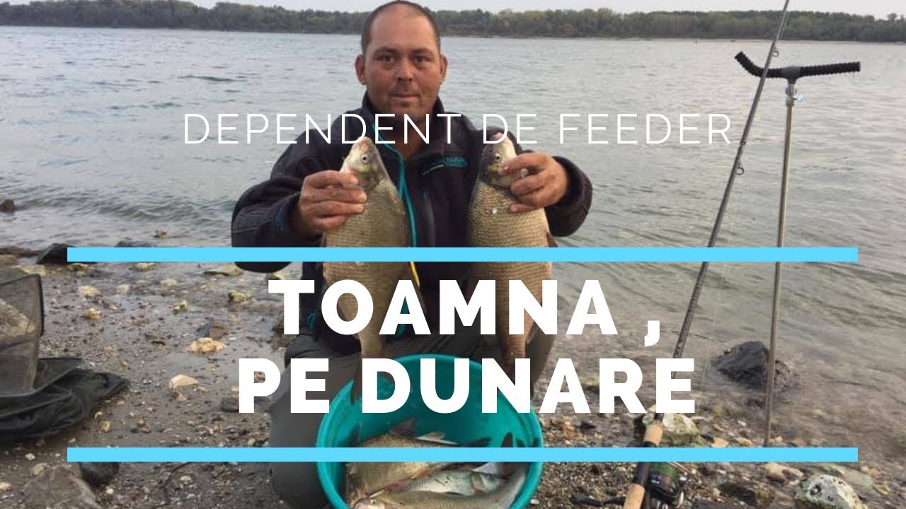 Pescuit La Dunare Cu Feeder Toamna Youtube