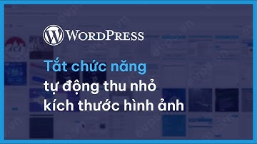 3 cách tắt chức năng tự động thu nhỏ kích thước trong WordPress