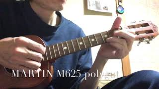 ウクレレ弦　MARTIN M625 POLYGUT