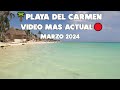 PLAYA DEL CARMEN HOY ASI ESTAN LAS PLAYAS | AL MOMENTO 20 MARZO 2024🔴