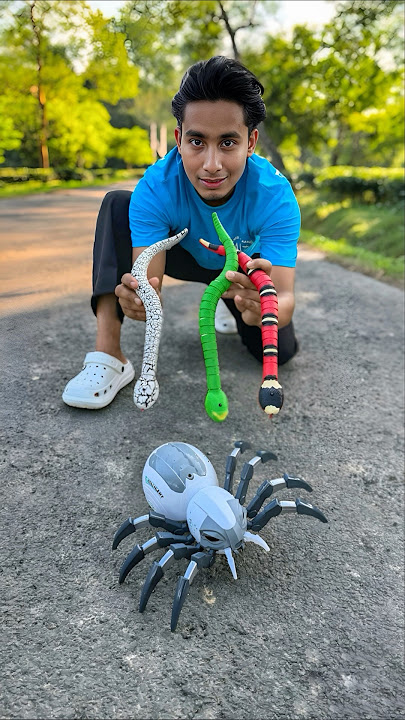 3 ta Remote Control Makadee And RC Snake#shortsfeed