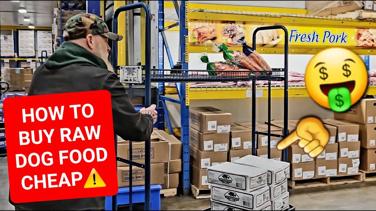 Buy RAW Dog Food CHEAP!! YouTube
