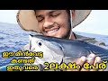 ലോക്ക്ഡൗൺ നെയ്മീൻ വേട്ട kerala sea fishing  #Fishingkerala #kadalmachan #Netfishing #best kingfish