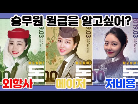 외항사vs메이저vs저비용 승무원 월급 전격 비교 Feat 2 4년제 차이점 