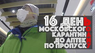 Пропуск из карантина - поди добейся. Москва, карантин, 16 день - Москвография