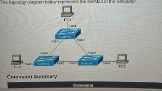 Celebrity STP & MST Part 1 Boson NetSim Net Worth
