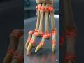 🩺 Pet Science: Why Clicking Dog Nails Mean Pain (3D) #shorts #pethealth