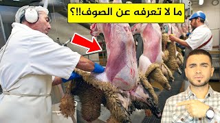 مصانع الصوف تكشف الحقيقة😱من قص صوف الغنم الى تحويله لسجاد وملابس 😱غريب!؟