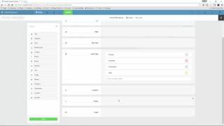 REIFlow Tutorial - General Podio - Modify App Template