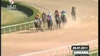 Al Pacino- 1900 Kum 16 Handi̇kap Ankara