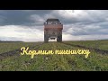 Первая подкормка озимой пшеницы..