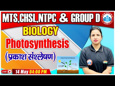 Biology : Photosynthesis | प्रकाश संश्लेषण | Biology For Group D/CHSL/MTS/NTPC | Science Classes