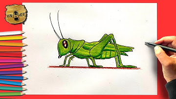 How to draw a grasshopper easy step by step