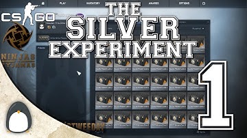 CS:GO - "Silver Experiment" Big Case Opening 1