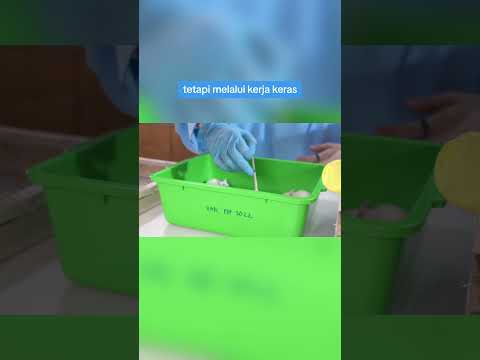 Motivasi Untuk Bestie UMBandung #umbandung