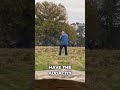 Danger! Why You MUST Keep Your Distance from Wild Stags!