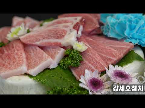강세호참치
