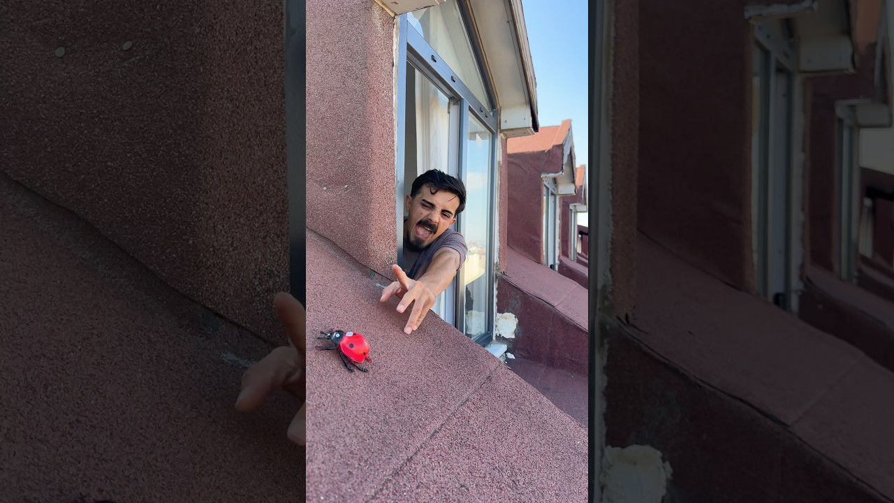 KADIRCAN UĞUR BÖCEĞINI KURTARIYOR #youtube #youtubeshorts #youtuber