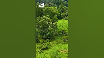 الآيات 16-17 من سورة آل عمران بصوت الشيخ ماهر المعيقلي
