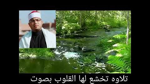 القارئ احمد سالم جابر