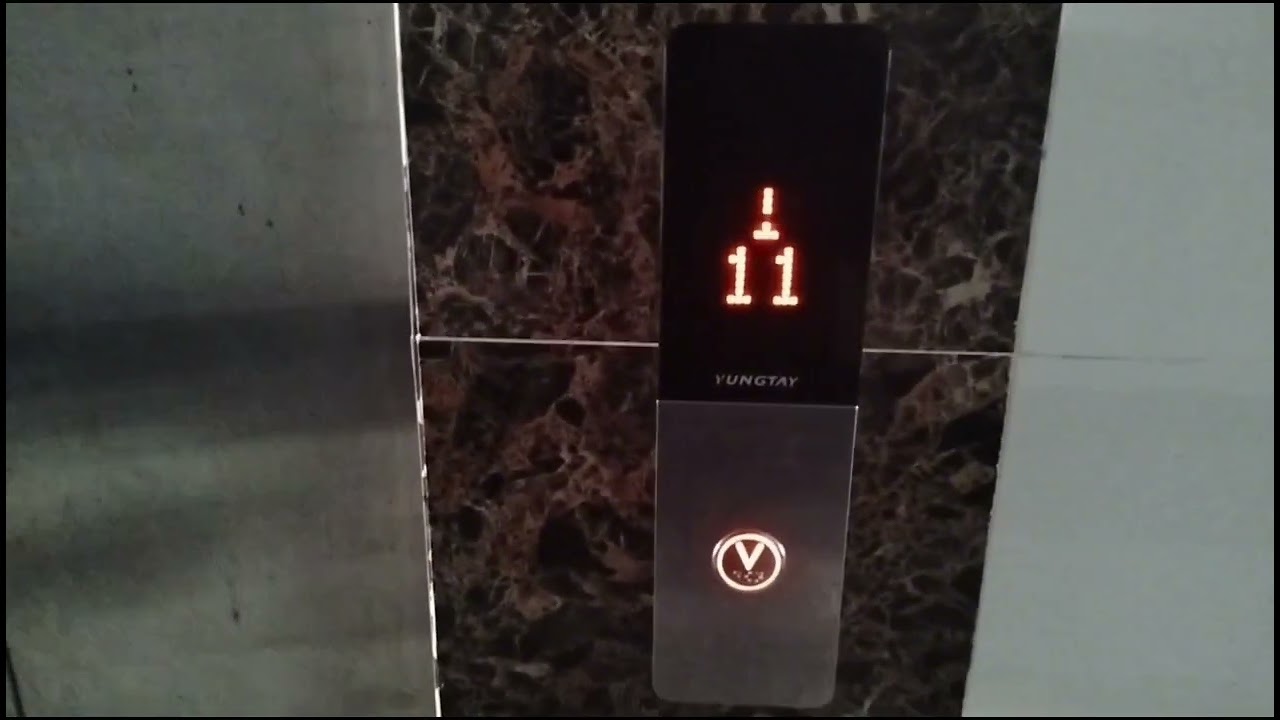 Пассажирский лифты YungTay V=1 м-с, Q=800. & 1050 кг в ЖК Dong Bac квартира 