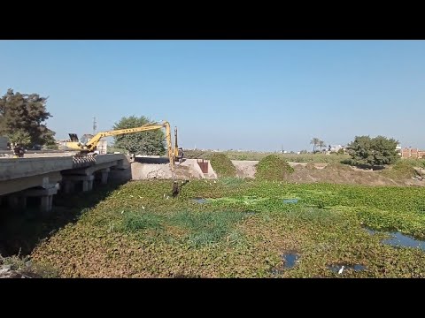 افضل طريقة للتخلص من ورد النيل فى الميه