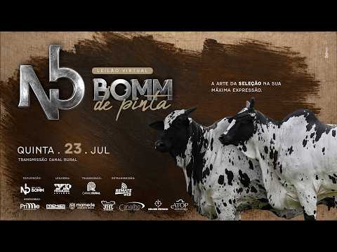 LOTE 24   HLA 465