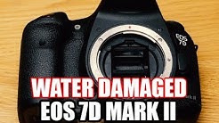Canon EOS 7D Mark II dropped in saltwater