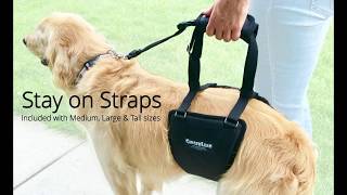 GingerLead Dog Support & Rehabilitation Harness with Stay on Straps